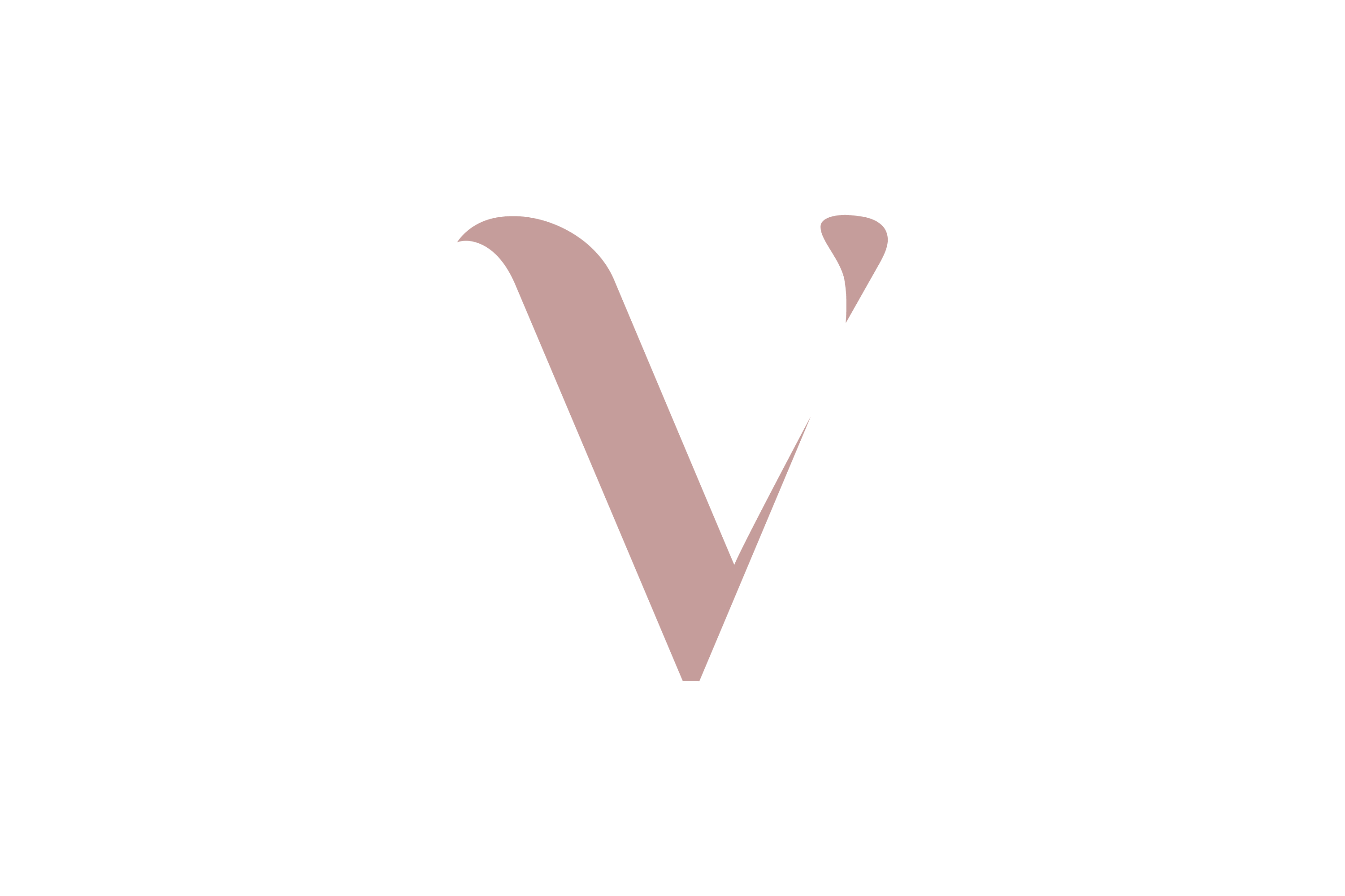 Vitale Concept
